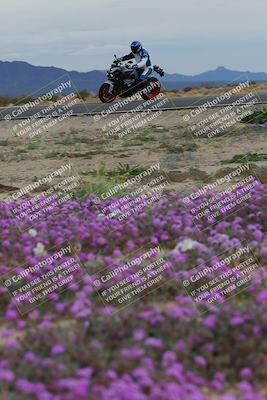 media/Jan-14-2023-SoCal Trackdays (Sat) [[497694156f]]/Turn 14 Exit Bloomig (145pm)/